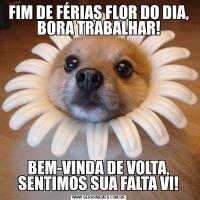 FIM DE FÉRIAS FLOR DO DIA, BORA TRABALHAR!BEM-VINDA DE VOLTA, SENTIMOS SUA FALTA VI!