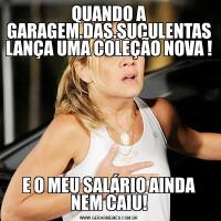 QUANDO A GARAGEM.DAS.SUCULENTAS LANÇA UMA COLEÇÃO NOVA !E O MEU SALÁRIO AINDA NEM CAIU!