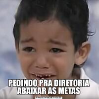 PEDINDO PRA DIRETORIA ABAIXAR AS METAS