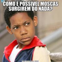 COMO É POSSÍVEL MOSCAS SURGIREM DO NADA?