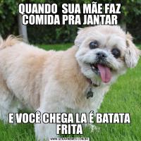 QUANDO  SUA MÃE FAZ COMIDA PRA JANTARE VOCÊ CHEGA LA É BATATA FRITA