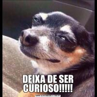DEIXA DE SER CURIOSO!!!!!