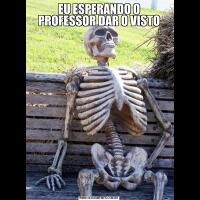 EU ESPERANDO O PROFESSOR DAR O VISTO