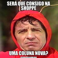 SERÁ QUE CONSIGO NA SHOPPEUMA COLUNA NOVA?