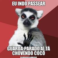 EU INDO PASSEARGUARDA:PARADO AÍ,TÁ CHOVENDO COCÔ