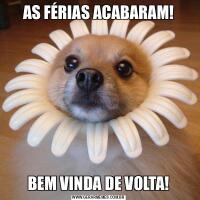AS FÉRIAS ACABARAM!BEM VINDA DE VOLTA!