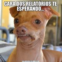 CARA DOS RELATÓRIOS TE ESPERANDO...
