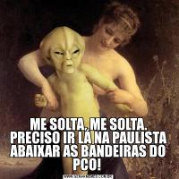 ME SOLTA, ME SOLTA. PRECISO IR LÁ NA PAULISTA ABAIXAR AS BANDEIRAS DO PCO! 