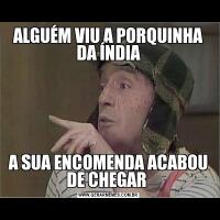 ALGUÉM VIU A PORQUINHA DA ÍNDIAA SUA ENCOMENDA ACABOU DE CHEGAR 