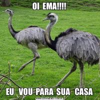 OI  EMA!!!!EU   VOU  PARA  SUA   CASA