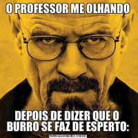 O PROFESSOR ME OLHANDODEPOIS DE DIZER QUE O  BURRO SE FAZ DE ESPERTO: