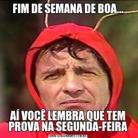 FIM DE SEMANA DE BOA...AÍ VOCÊ LEMBRA QUE TEM PROVA NA SEGUNDA-FEIRA