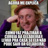 AGORA ME EXPLICACOMO FAZ PRA TIRAR A CORUJA DA GELADEIRA E LEVAR PRA CASA SE ELA NÃO PODE SAIR DA GELADEIRA