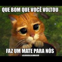 QUE BOM QUE VOCÊ VOLTOU FAZ UM MATE PARA NÓS 