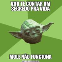 VOU TE CONTAR UM SEGREDO PRA VIDAMOLE NÃO FUNCIONA