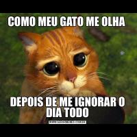 COMO MEU GATO ME OLHA DEPOIS DE ME IGNORAR O DIA TODO