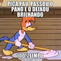 PICA PAU  PASSOU O PANO E O DEIXOU BRILHANDO100% LIMPO
