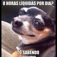 8 HORAS LÍQUIDAS POR DIA?TÔ SABENDO