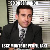 SÓ OBSERVANDO ESSE MONTE DE PERFIL FAKE