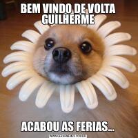 BEM VINDO DE VOLTA GUILHERMEACABOU AS FERIAS...