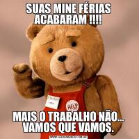 SUAS MINE FÉRIAS ACABARAM !!!!MAIS O TRABALHO NÃO... VAMOS QUE VAMOS.