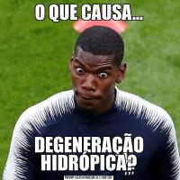 O QUE CAUSA...DEGENERAÇÃO HIDRÓPICA?