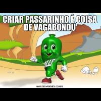 CRIAR PASSARINHO É COISA DE VAGABONDU