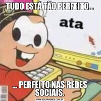 TUDO ESTÁ TÃO PERFEITO...... PERFEITO NAS REDES SOCIAIS.