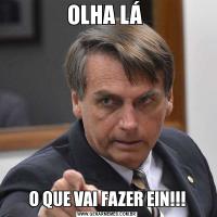 OLHA LÁ O QUE VAI FAZER EIN!!!