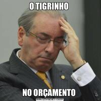 O TIGRINHO NO ORÇAMENTO 