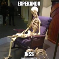  ESPERANDO INSS