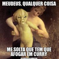 MEUDEUS, QUALQUER COISAME SOLTA QUE TEM QUE AFOGAR EM CURRY