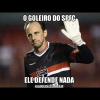 O GOLEIRO DO SPFCELE DEFENDE NADA