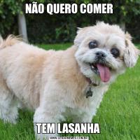 NÃO QUERO COMERTEM LASANHA 