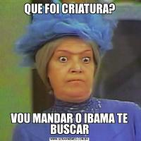 QUE FOI CRIATURA?VOU MANDAR O IBAMA TE BUSCAR