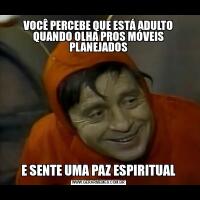 VOCÊ PERCEBE QUE ESTÁ ADULTO QUANDO OLHA PROS MÓVEIS PLANEJADOSE SENTE UMA PAZ ESPIRITUAL