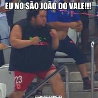 EU NO SÃO JOÃO DO VALE!!!