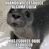 QUANDO VOCÊ ESQUECE ALGUMA COISAMAS ESQUECE OQUE ESQUECEU