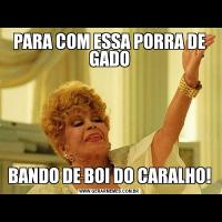 PARA COM ESSA PORRA DE GADOBANDO DE BOI DO CARALHO!