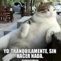 YO, TRANQUILAMENTE, SIN HACER NADA.