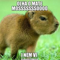 OLHA O MATE MOSSSSSSSOOOOI NEM VI 