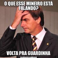 O QUE ESSE MINEIRO ESTÁ FALANDO?VOLTA PRA GUARDINHA