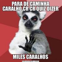 PARA DE CAMINHA CARALHO CR CR QUIZ DIZERMILES CARALHOS