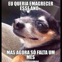 EU QUERIA EMAGRECER ESSE ANO...MAS AGORA SÓ FALTA UM MÊS