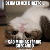 DEIXA EU VER DIREITO...SÃO MINHAS FÉRIAS CHEGANDO