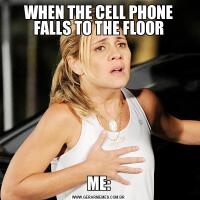WHEN THE CELL PHONE FALLS TO THE FLOORME: