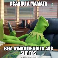 ACABOU A MAMATABEM-VINDA DE VOLTA AOS SURTOS