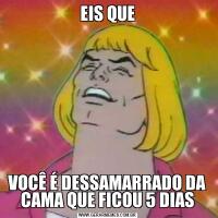 EIS QUEVOCÊ É DESSAMARRADO DA CAMA QUE FICOU 5 DIAS