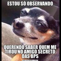 ESTOU SÓ OBSERVANDOQUERENDO SABER QUEM ME TIROU NO AMIGO SECRETO DAS BPS
