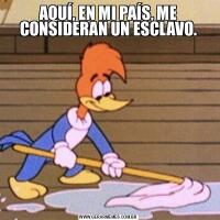 AQUÍ, EN MI PAÍS, ME CONSIDERAN UN ESCLAVO.